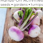 This spring, explore this collection of The Enormous Turnip activities with your young readers. They're perfect for kids in preschool through elementary. 