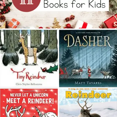 Books About Reindeer
