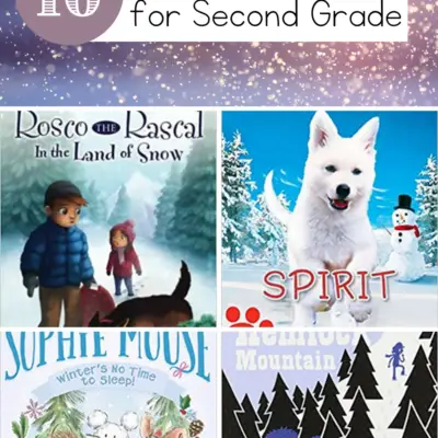 Winter Chapter Books for Second Graders
