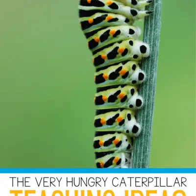 The Very Hungry Caterpillar Teaching Ideas